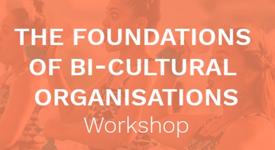 Foundations of bi-cultural organisations