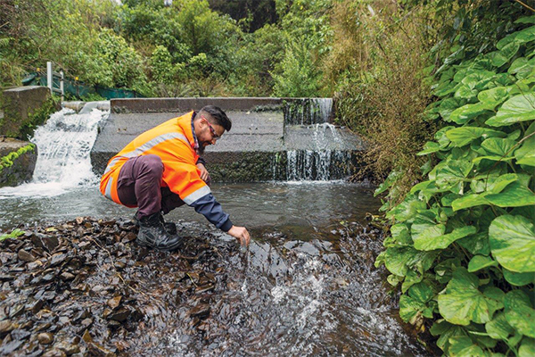 photo of citycare worker in river