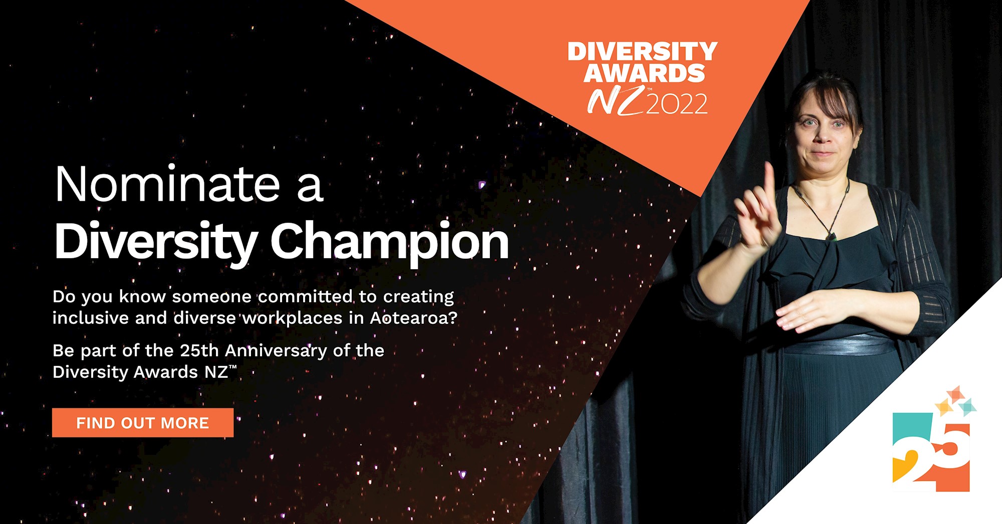 Diversity Champion Award Diversityworks