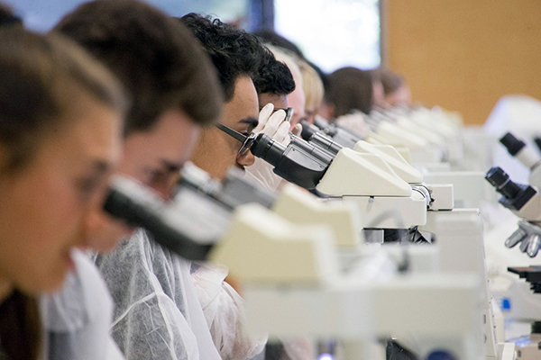 Maori students working with microscopes