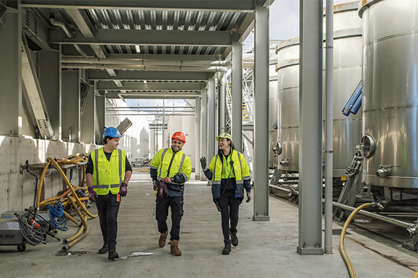 Workers in the winery