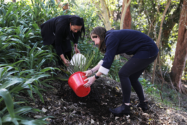 People planting native flax