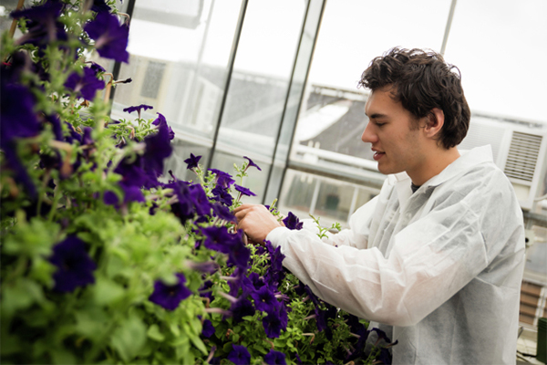 Māori science student working with plants