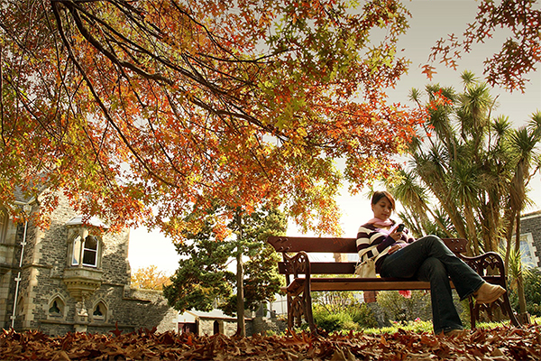Student working on phone outside Auckland university surrounded by Autumnal trees