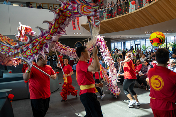 Chinese dragon dancers