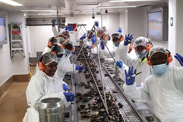 Workers processing seafood