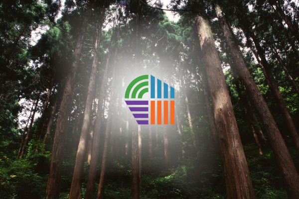 Te Uru Tāngata – our new look